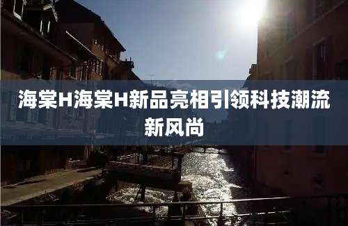 海棠H海棠H新品亮相引领科技潮流新风尚