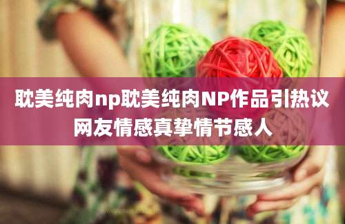 耽美纯肉np耽美纯肉NP作品引热议网友情感真挚情节感人
