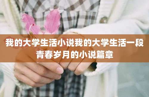 我的大学生活小说我的大学生活一段青春岁月的小说篇章