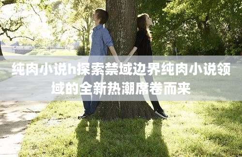纯肉小说h探索禁域边界纯肉小说领域的全新热潮席卷而来