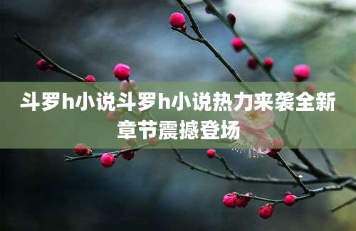 斗罗h小说斗罗h小说热力来袭全新章节震撼登场
