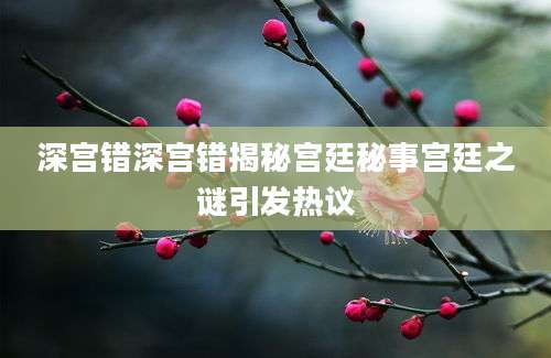 深宫错深宫错揭秘宫廷秘事宫廷之谜引发热议