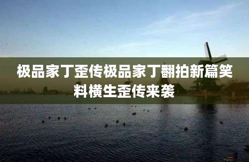 极品家丁歪传极品家丁翻拍新篇笑料横生歪传来袭