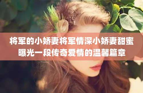 将军的小娇妻将军情深小娇妻甜蜜曝光一段传奇爱情的温馨篇章