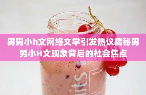 男男小h文网络文学引发热议揭秘男男小H文现象背后的社会焦点