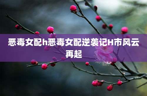 恶毒女配h恶毒女配逆袭记H市风云再起