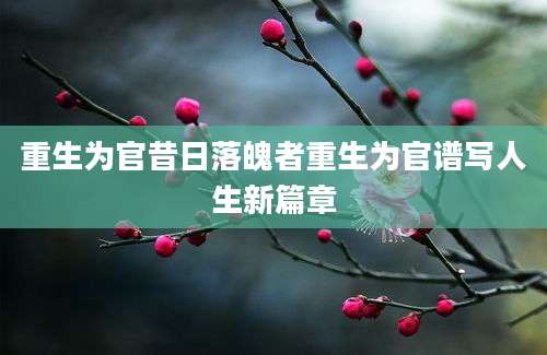 重生为官昔日落魄者重生为官谱写人生新篇章