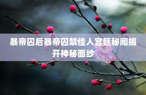 暴帝囚后暴帝囚禁佳人宫廷秘闻揭开神秘面纱