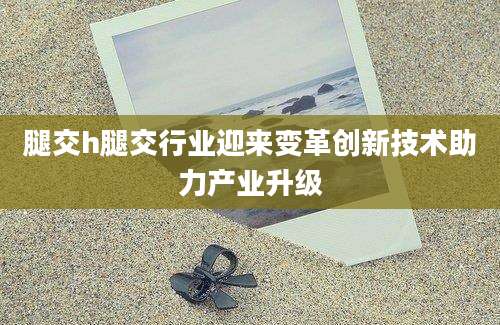 腿交h腿交行业迎来变革创新技术助力产业升级
