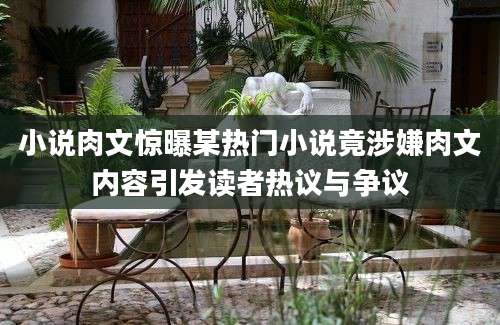 小说肉文惊曝某热门小说竟涉嫌肉文内容引发读者热议与争议