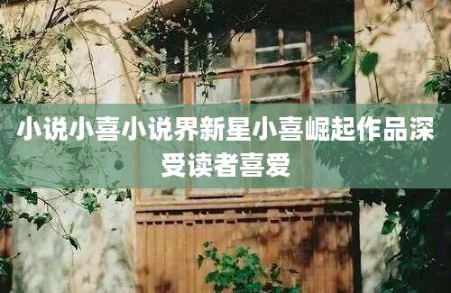 小说小喜小说界新星小喜崛起作品深受读者喜爱