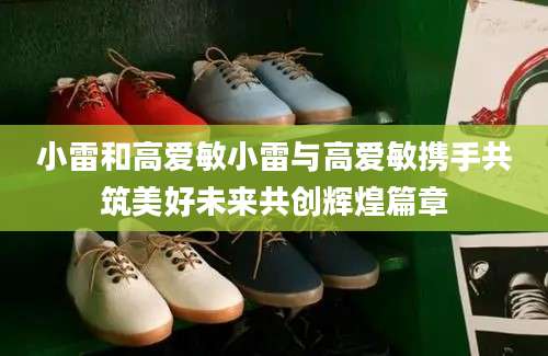 小雷和高爱敏小雷与高爱敏携手共筑美好未来共创辉煌篇章