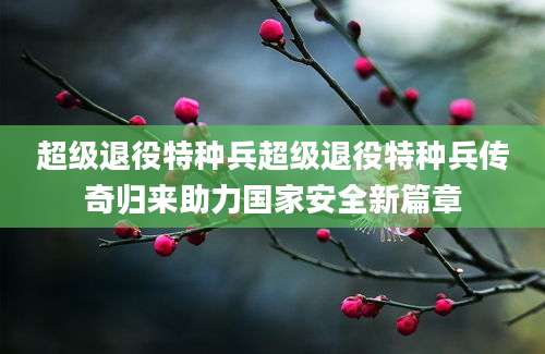 超级退役特种兵超级退役特种兵传奇归来助力国家安全新篇章