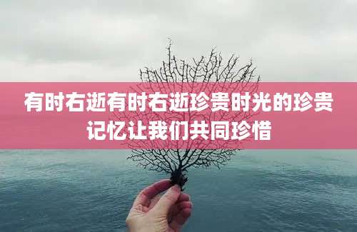 有时右逝有时右逝珍贵时光的珍贵记忆让我们共同珍惜