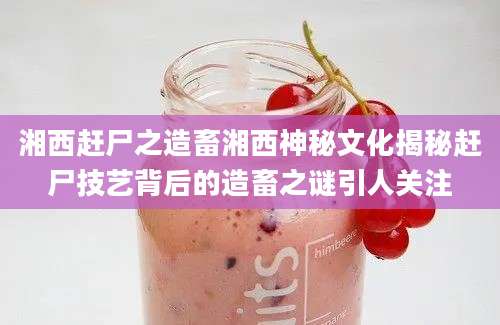湘西赶尸之造畜湘西神秘文化揭秘赶尸技艺背后的造畜之谜引人关注