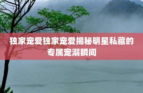 独家宠爱独家宠爱揭秘明星私藏的专属宠溺瞬间