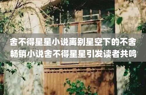 舍不得星星小说离别星空下的不舍畅销小说舍不得星星引发读者共鸣