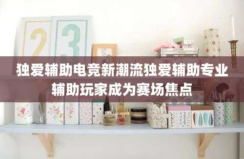 独爱辅助电竞新潮流独爱辅助专业辅助玩家成为赛场焦点