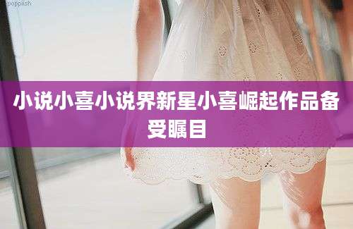小说小喜小说界新星小喜崛起作品备受瞩目