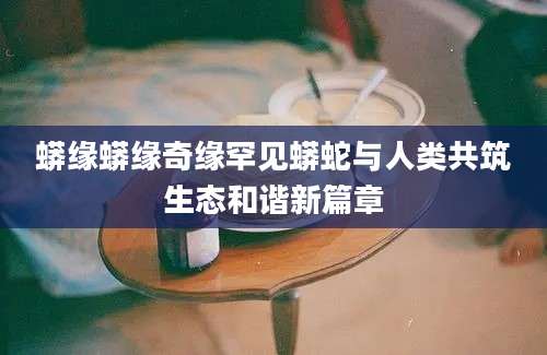 蟒缘蟒缘奇缘罕见蟒蛇与人类共筑生态和谐新篇章