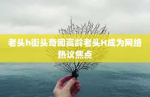 老头h街头奇闻高龄老头H成为网络热议焦点