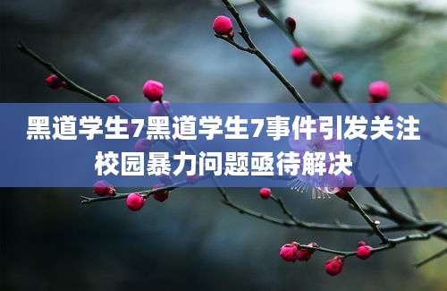 黑道学生7黑道学生7事件引发关注校园暴力问题亟待解决