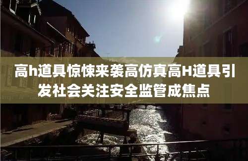 高h道具惊悚来袭高仿真高H道具引发社会关注安全监管成焦点