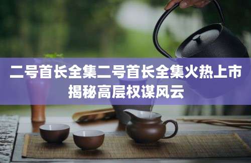 二号首长全集二号首长全集火热上市揭秘高层权谋风云