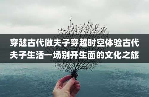 穿越古代做夫子穿越时空体验古代夫子生活一场别开生面的文化之旅