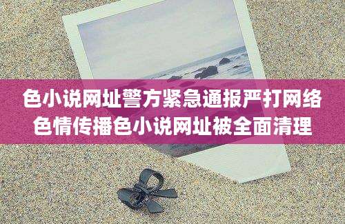 色小说网址警方紧急通报严打网络色情传播色小说网址被全面清理