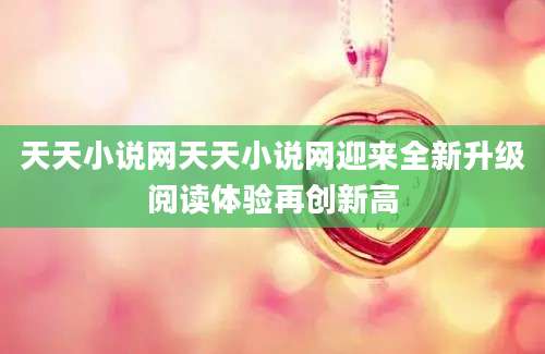 天天小说网天天小说网迎来全新升级阅读体验再创新高