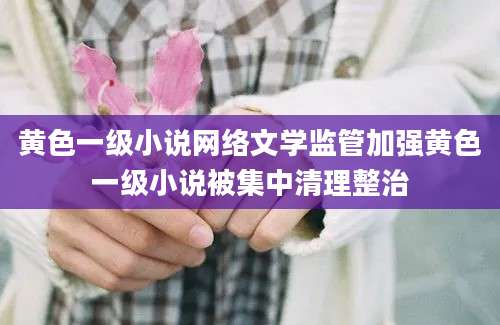 黄色一级小说网络文学监管加强黄色一级小说被集中清理整治