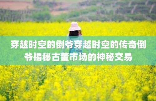 穿越时空的倒爷穿越时空的传奇倒爷揭秘古董市场的神秘交易