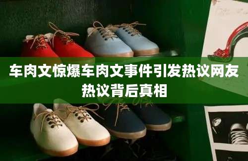 车肉文惊爆车肉文事件引发热议网友热议背后真相