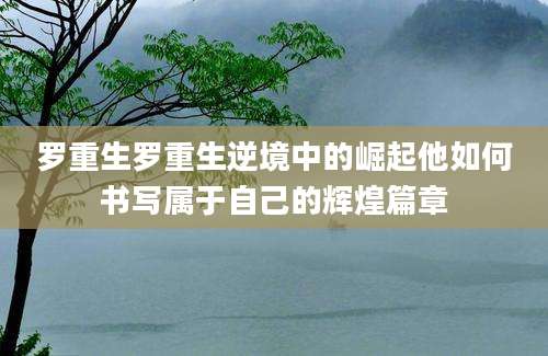 罗重生罗重生逆境中的崛起他如何书写属于自己的辉煌篇章