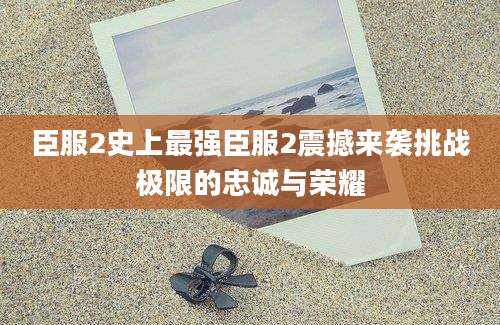 臣服2史上最强臣服2震撼来袭挑战极限的忠诚与荣耀