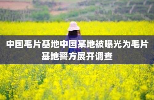 中国毛片基地中国某地被曝光为毛片基地警方展开调查