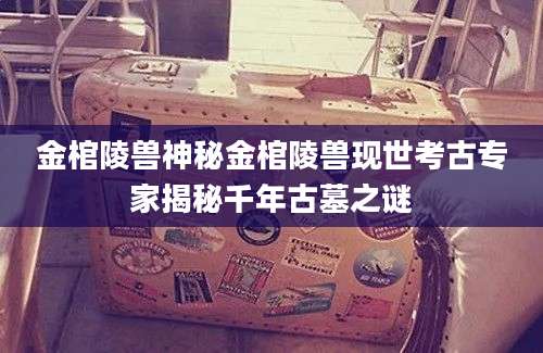 金棺陵兽神秘金棺陵兽现世考古专家揭秘千年古墓之谜