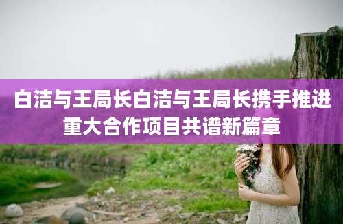 白洁与王局长白洁与王局长携手推进重大合作项目共谱新篇章