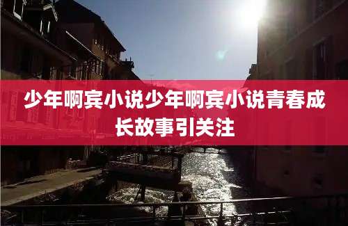 少年啊宾小说少年啊宾小说青春成长故事引关注