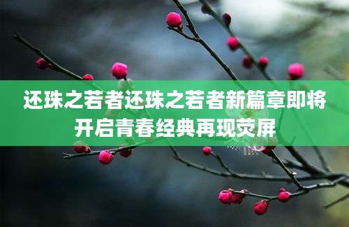 还珠之若者还珠之若者新篇章即将开启青春经典再现荧屏