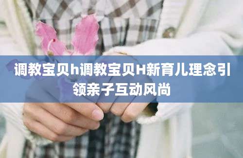 调教宝贝h调教宝贝H新育儿理念引领亲子互动风尚