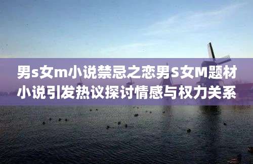男s女m小说禁忌之恋男S女M题材小说引发热议探讨情感与权力关系