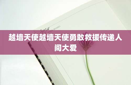 越墙天使越墙天使勇敢救援传递人间大爱