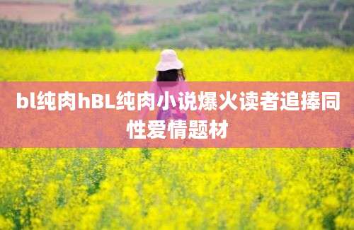 bl纯肉hBL纯肉小说爆火读者追捧同性爱情题材