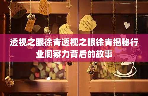 透视之眼徐青透视之眼徐青揭秘行业洞察力背后的故事