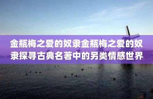 金瓶梅之爱的奴隶金瓶梅之爱的奴隶探寻古典名著中的另类情感世界
