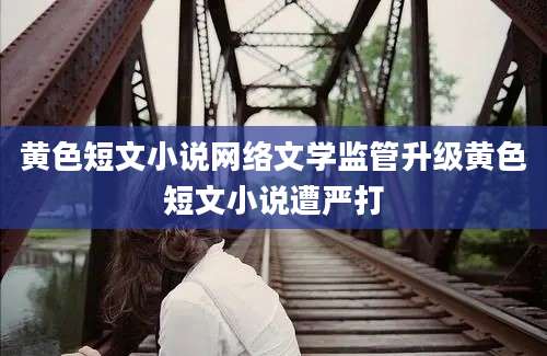 黄色短文小说网络文学监管升级黄色短文小说遭严打