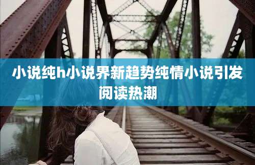 小说纯h小说界新趋势纯情小说引发阅读热潮