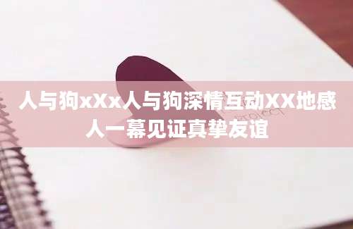 人与狗xXx人与狗深情互动XX地感人一幕见证真挚友谊